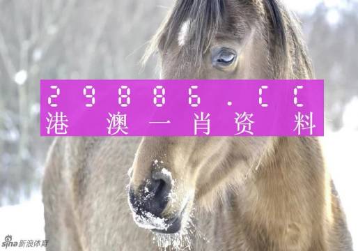 最準(zhǔn)一肖一碼100%澳門,定性評(píng)估說明_高級(jí)版25.581