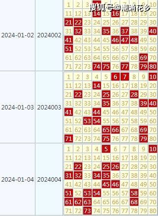 2024天天彩全年免費資料,權威解答解釋定義_VR13.64