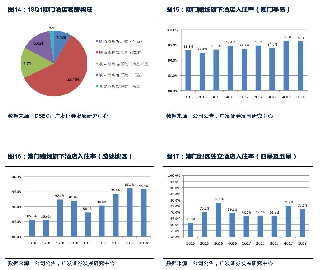 新澳門最精準正最精準龍門,穩健性策略評估_開發版57.101