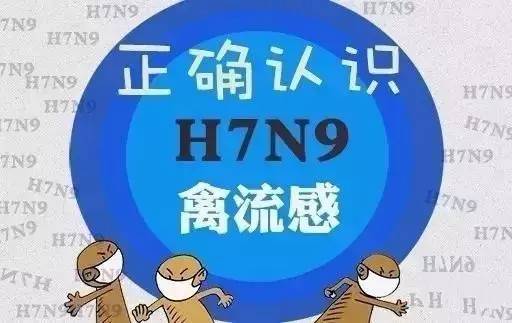 H7N9病毒最新動(dòng)態(tài)，全球防控進(jìn)展與應(yīng)對(duì)策略更新