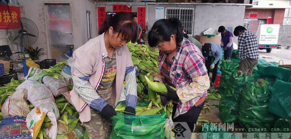 橫縣最新新聞報道，城市發展與民生改善齊頭并進