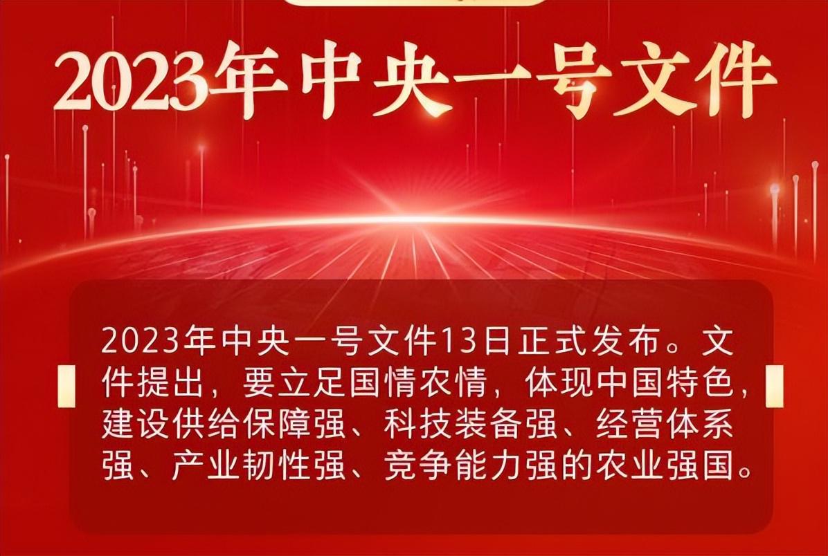 中央最新文件引領新時代發展，助推全面進步新篇章