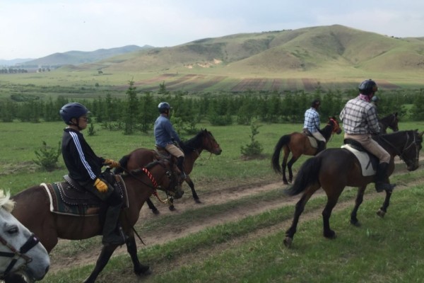 2024年今晚澳門開特馬,動(dòng)態(tài)調(diào)整策略執(zhí)行_N版20.599