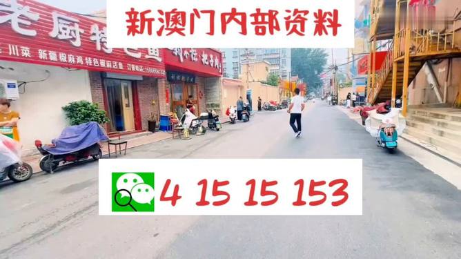 2024新澳門天天開好彩大全49,數(shù)據(jù)解析導(dǎo)向計(jì)劃_靜態(tài)版17.191