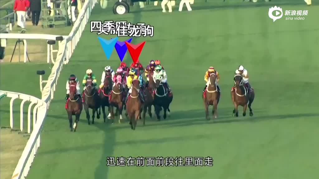 2024香港今期開獎號碼馬會,快速響應執行策略_WP版82.28