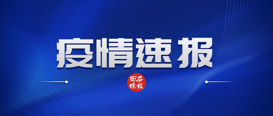 新澳門最精準正最精準龍門,具體操作步驟指導_S70.786