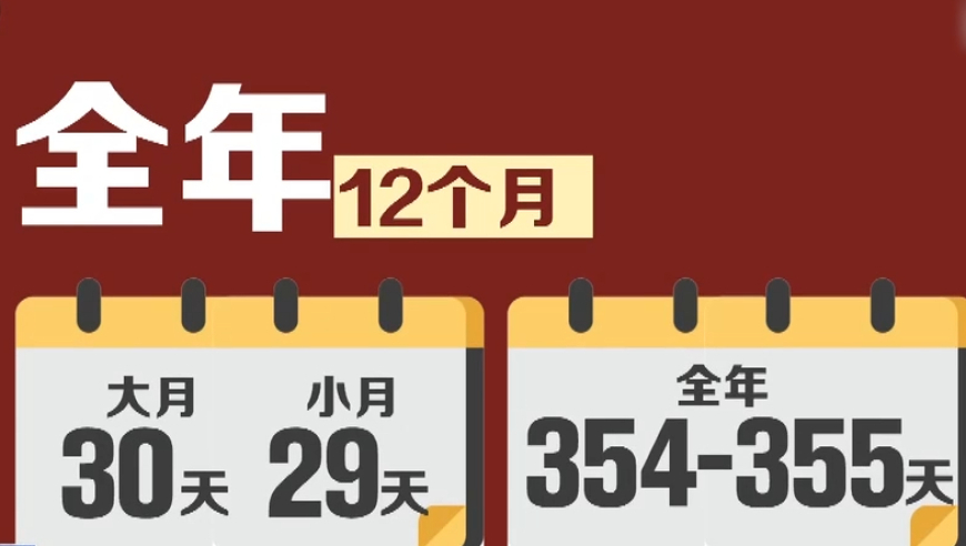 2024澳門現場開獎直播,最新核心解答落實_完整版91.473