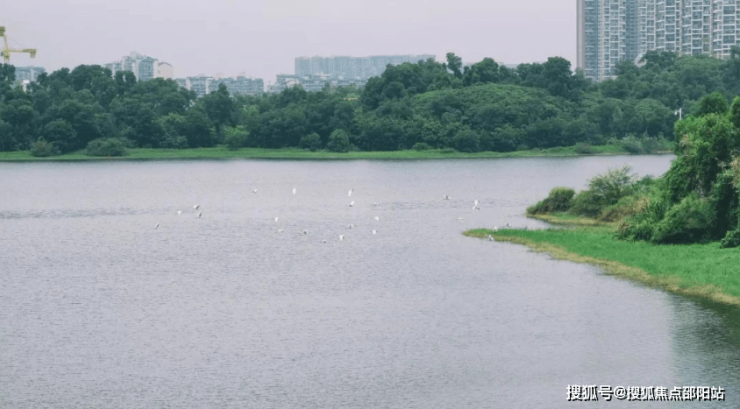 龍江花園水庫(kù)建設(shè)進(jìn)展，邁向可持續(xù)未來(lái)之路