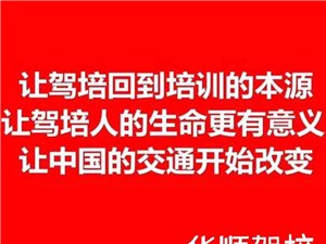 最新駕駛員招聘信息發布