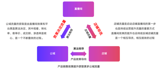 2024年12月20日 第66頁