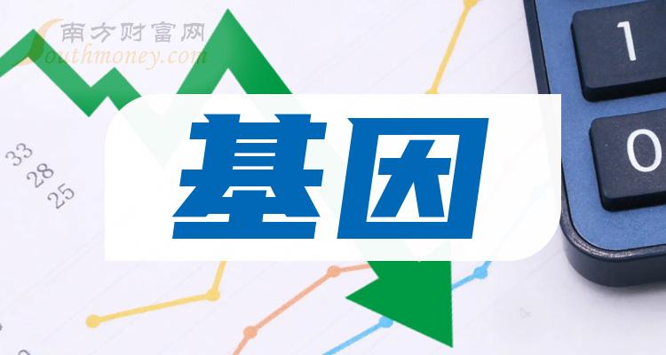 東富龍引領(lǐng)行業(yè)變革，塑造未來格局的新動(dòng)態(tài)