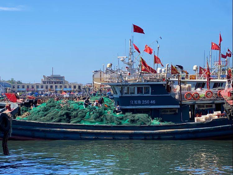 大連龍王塘新動態(tài)，綠色明珠成為城市新寵