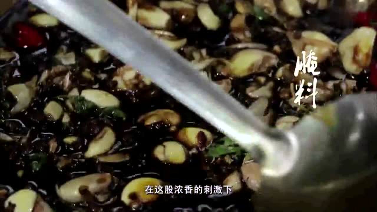 味覺革命，探索最新美食之旅