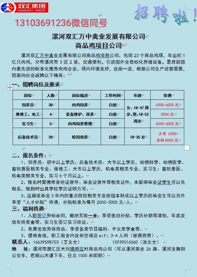 舞陽招聘網最新招聘動態深度解析及求職指南