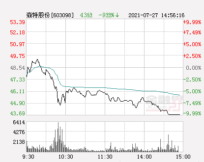 森特股份最新消息綜述，動態更新與深度解析