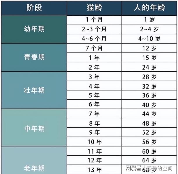 最新年齡段劃分揭示人類(lèi)生命新階段特征