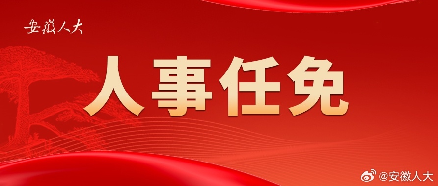 安慶最新人事任免動態發布