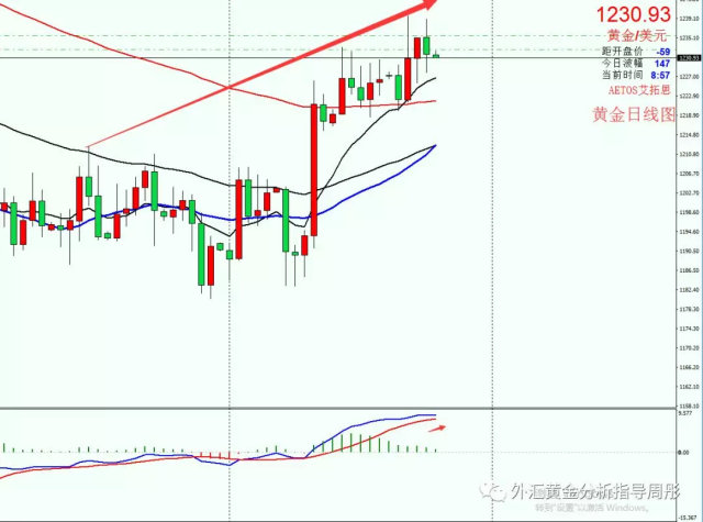 外匯黃金走勢最新解讀，三金因素深度剖析與趨勢展望